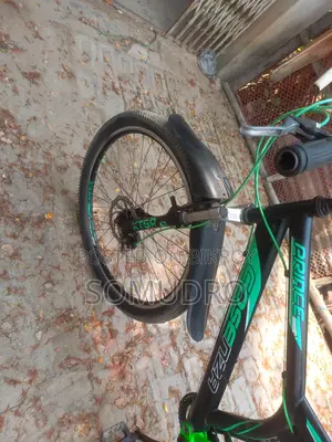 Prince gear bicycle