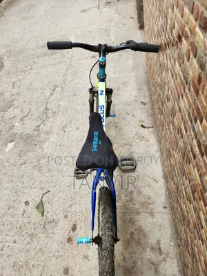Focus Mtb 0.1