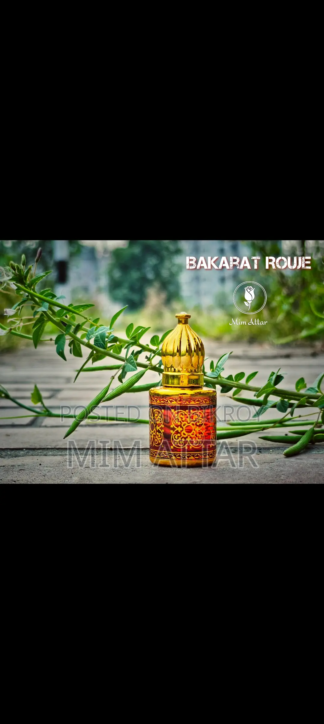 Mim Attar