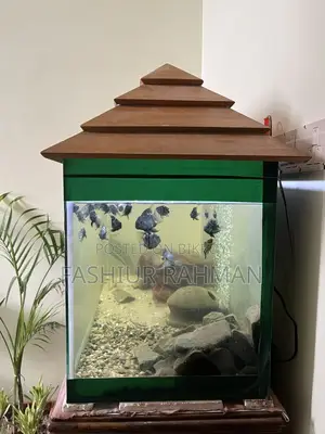 অ্যাকোয়ারিয়াম বিক্রির পোস্ট