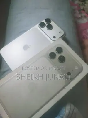 Apple iPhone 17 Pro Max 256 GB Silver
