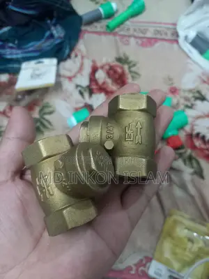 Swing Check Valve