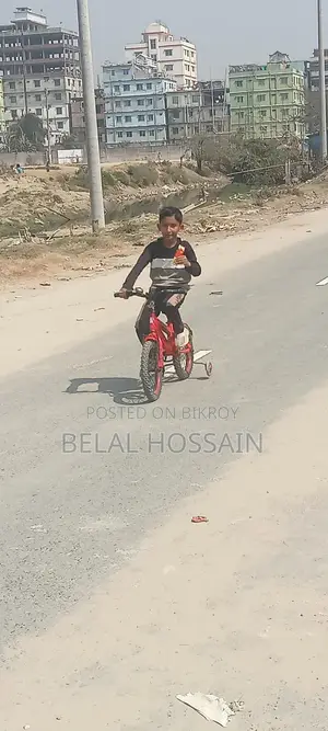 বাই সাইকেল