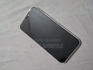 Apple iPhone 12 (Used)