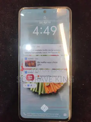 Vivo V30 Lite (Used)