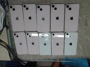 Apple iPhone 13 (Used)