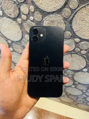 Apple iPhone 12 (Used)