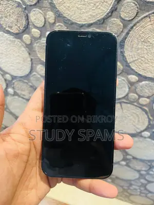 Apple iPhone 12 (Used)