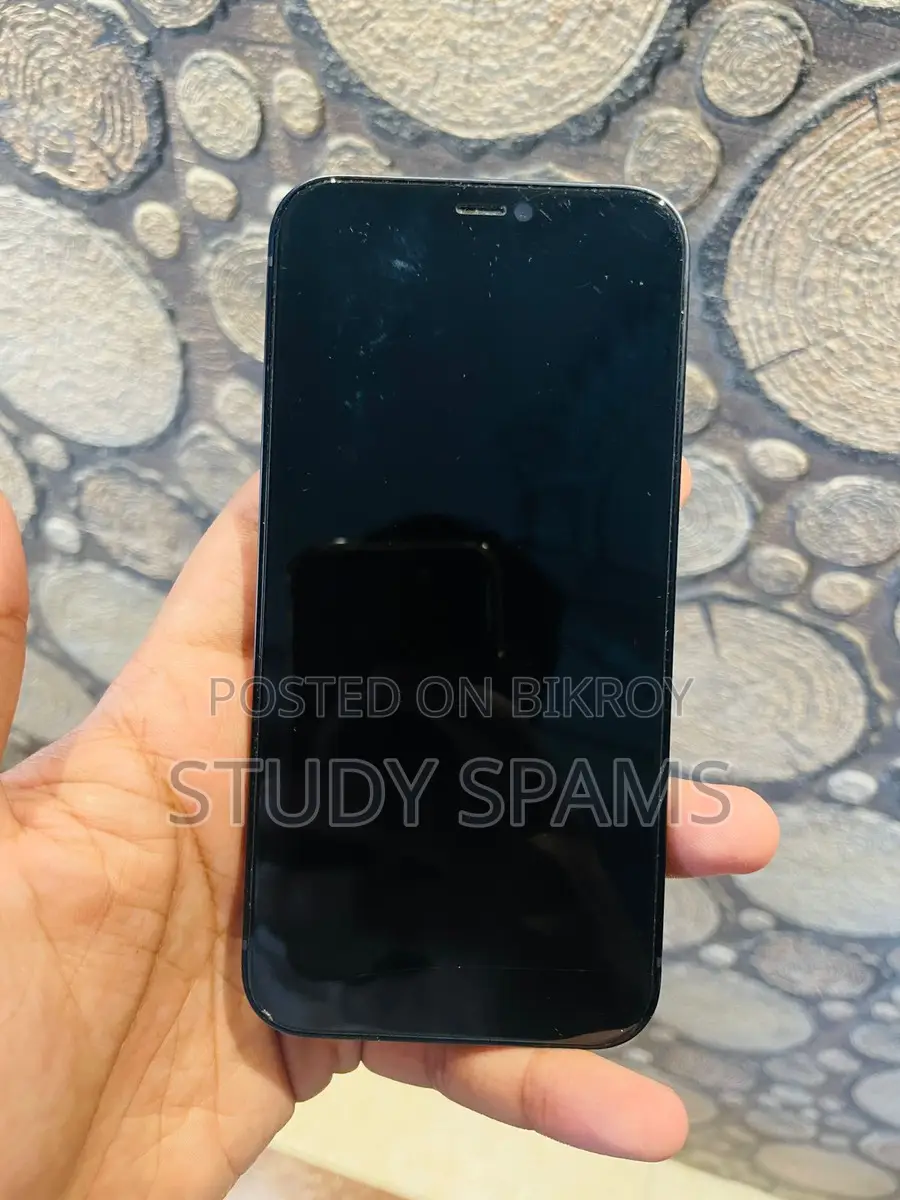 Apple iPhone 12 (Used)