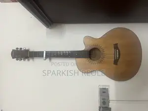 Mantra Semi Acoustic Guitar Mukti Eq