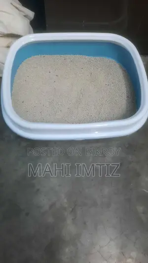Litter Box