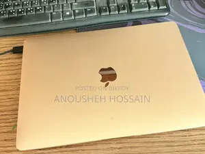 ম্যাকবুক এয়ার ২০২০ রোজ গোল্ড কালার