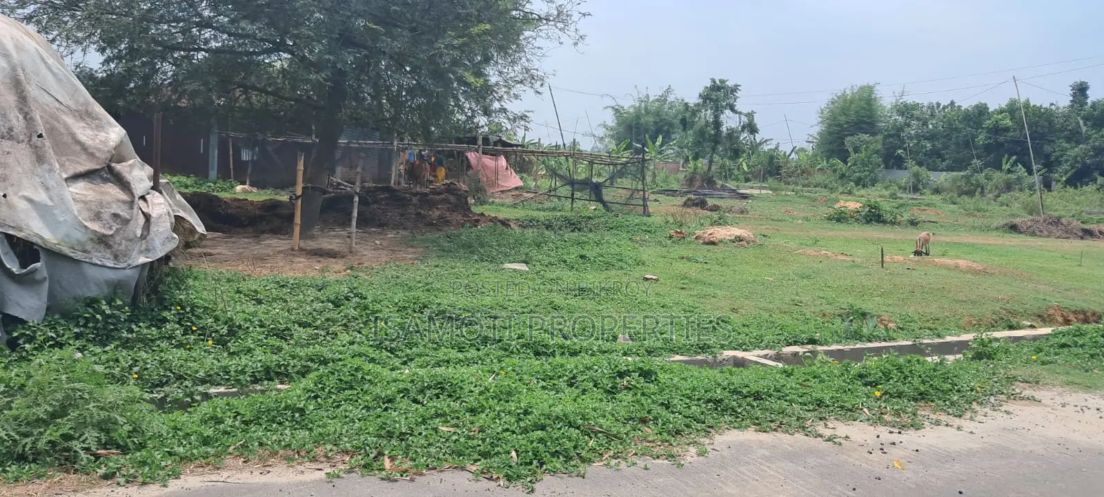 পূর্বাচলে সাশ্রয়ী মূল্যে ৩ কাঠার প্লট বিক্রয়