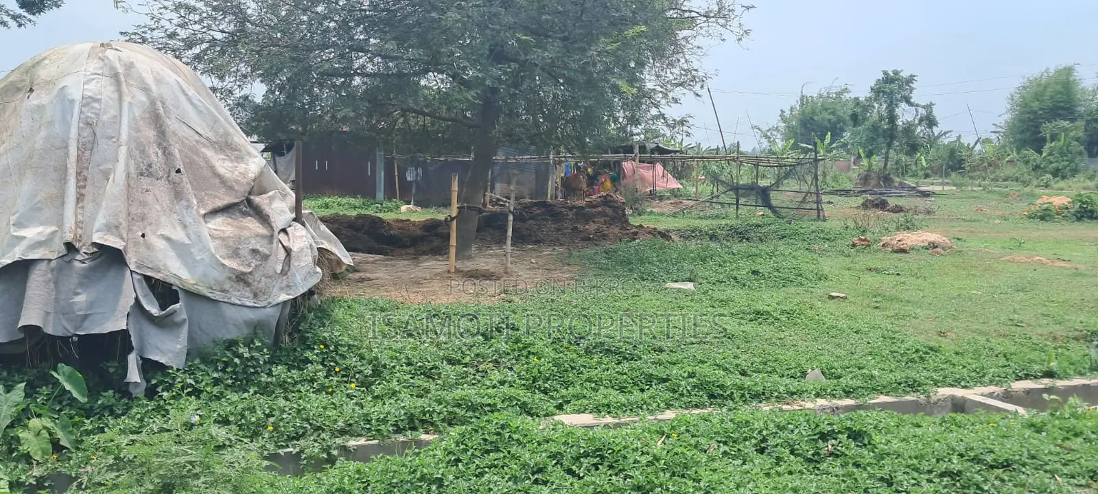 পূর্বাচলে সাশ্রয়ী মূল্যে ৩ কাঠার প্লট বিক্রয়