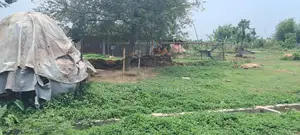 পূর্বাচলে সাশ্রয়ী মূল্যে ৩ কাঠার প্লট বিক্রয়
