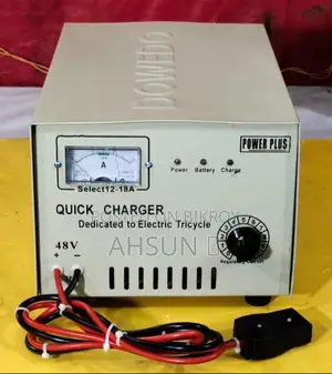 Auto 60V Mishuk 48V Vehicle Charger