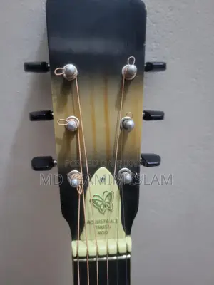 Guitar
