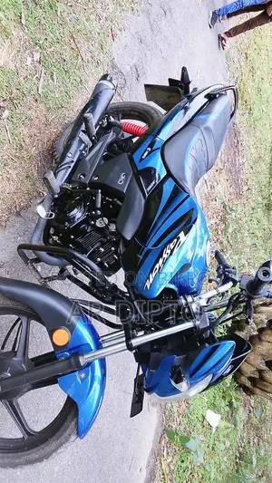 Hero Passion Pro . 2026
