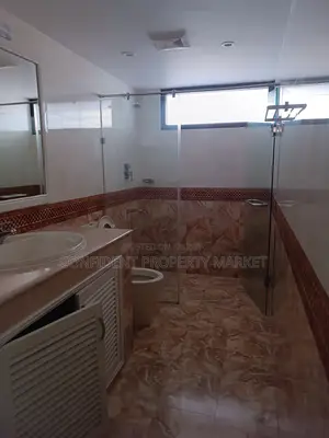 Nice Semi Furnished Flat For Rent In Baridhara D/Z