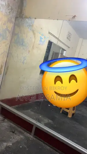 Gym/saloon Mirror
