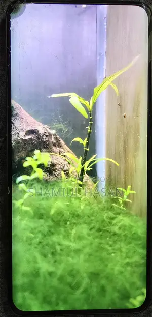 OnePlus 7 Pro 12 -256 (Used)