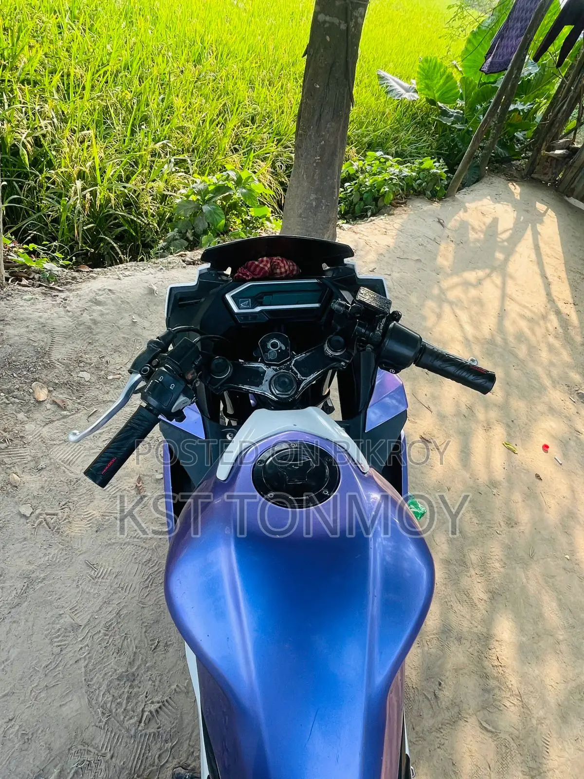 Honda CBR, 2019