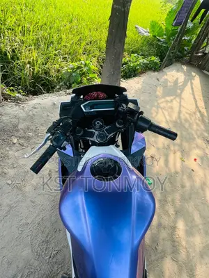Honda CBR, 2019