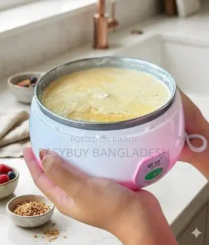 ইলেকট্রিক দই মেকার