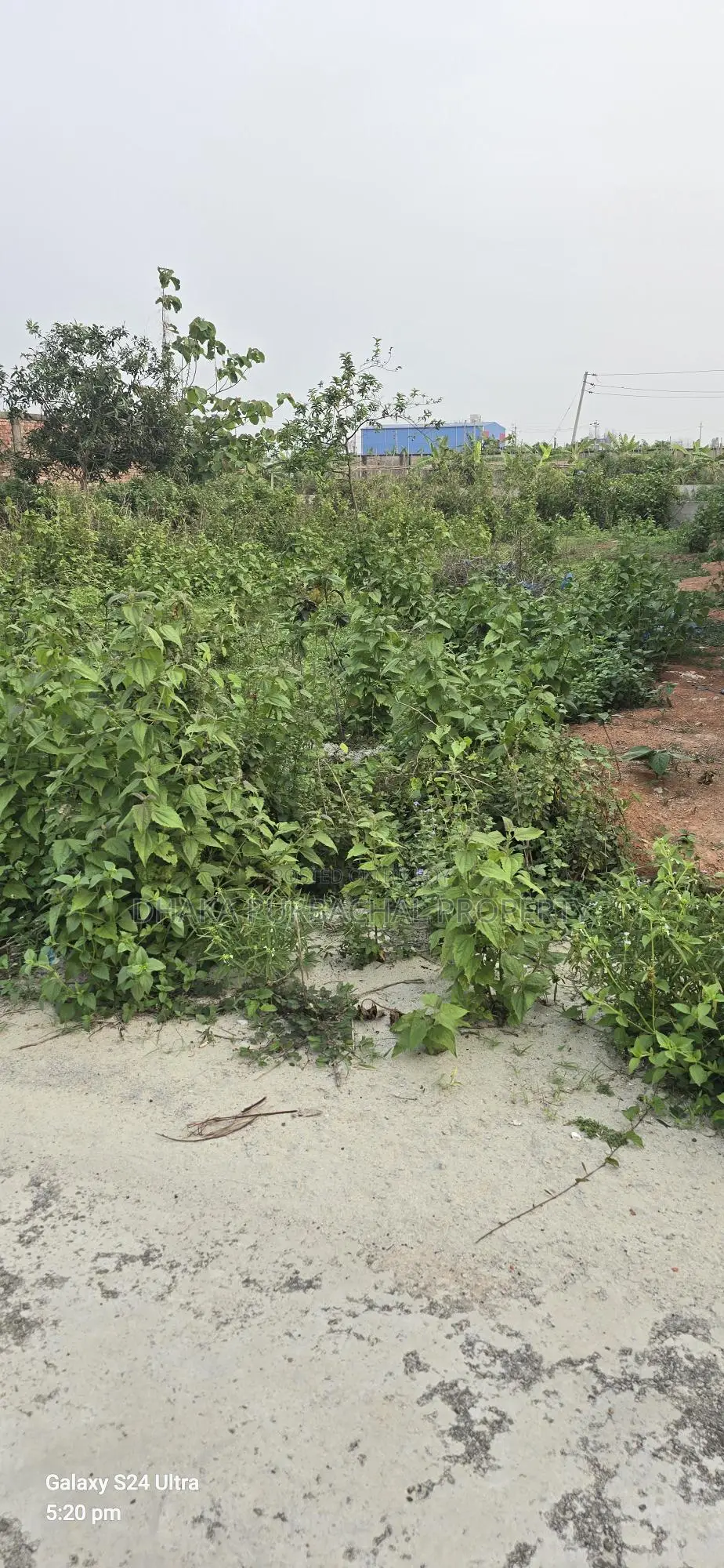 Sector -24 Purbachal Allotted Plot Sell