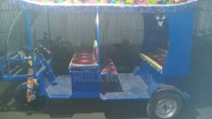 Auto Mishuk