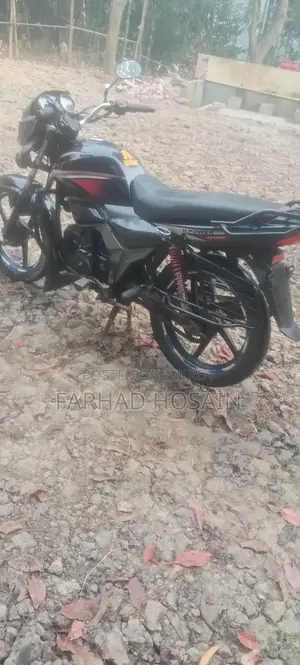 Zaara 100 2023