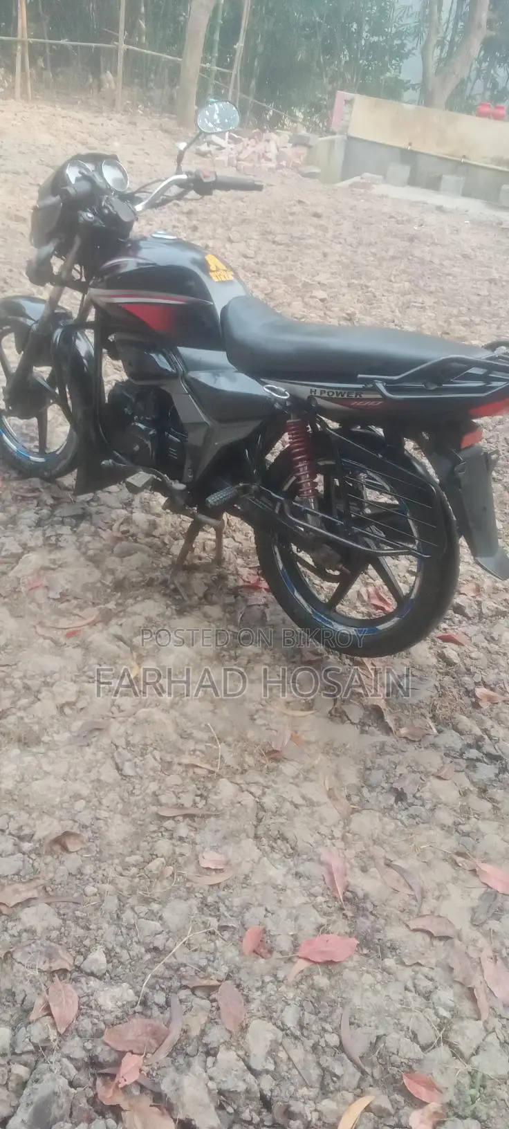 Zaara 100 2023