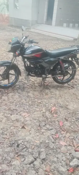 Zaara 100 2023