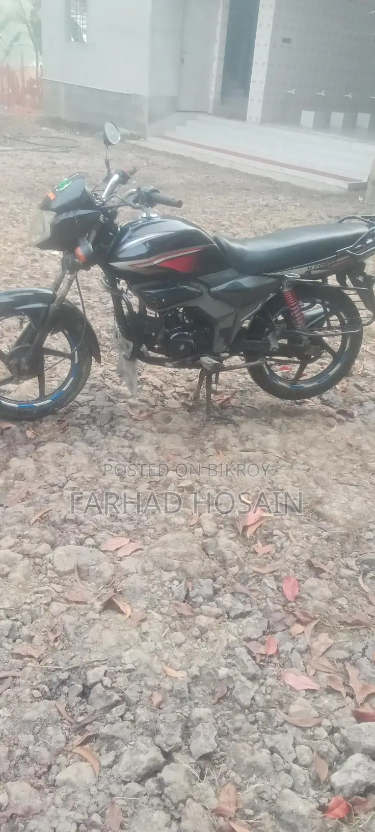Zaara 100 2023