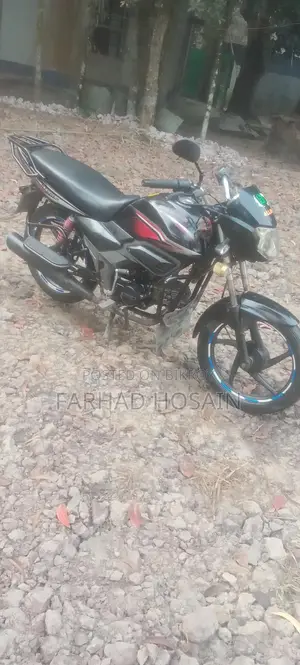 Zaara 100 2023