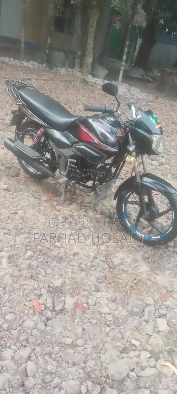 Zaara 100 2023