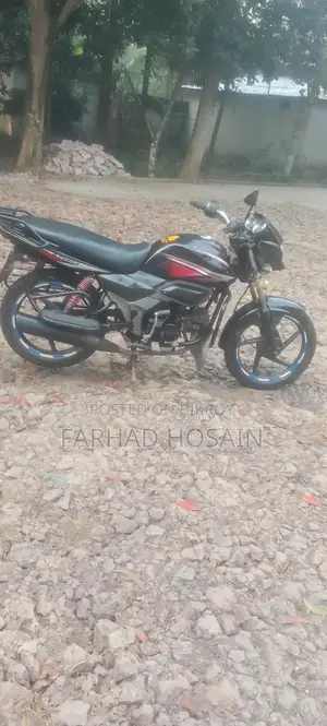 Zaara 100 2023