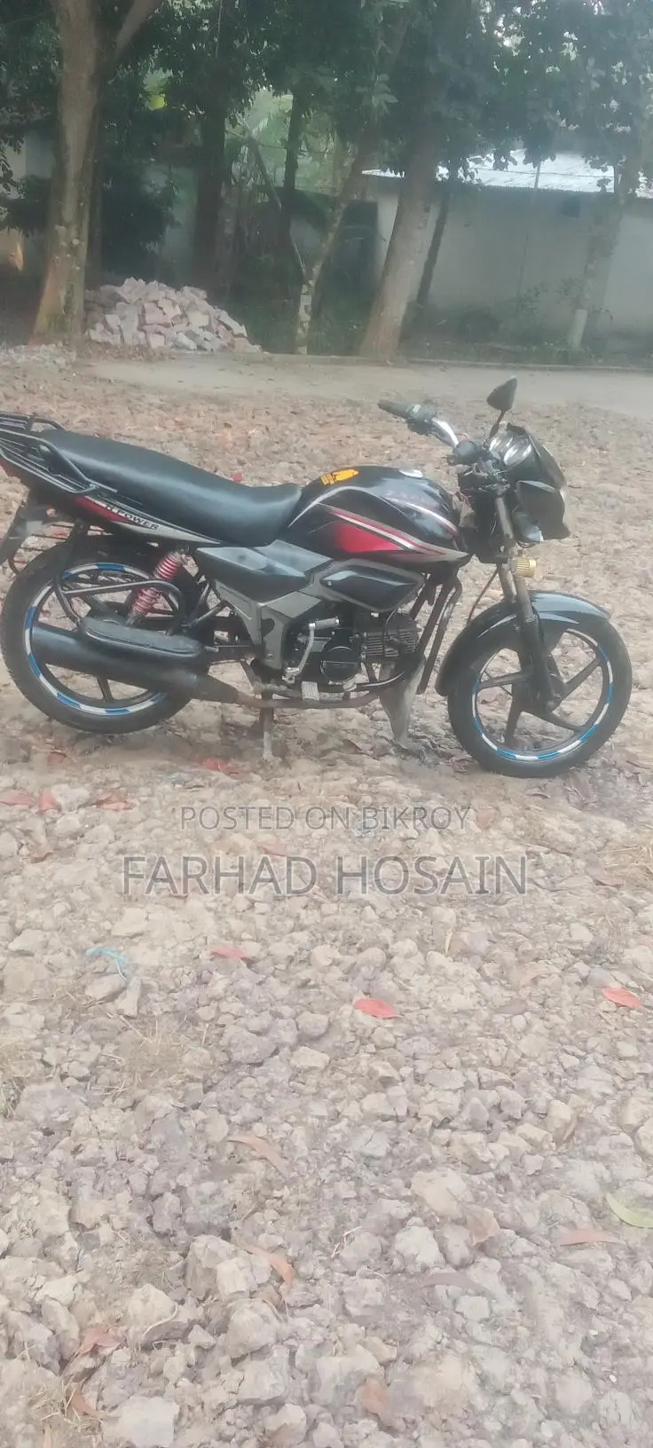 Zaara 100 2023