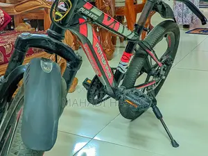 Duranta Bicycle for Sale
