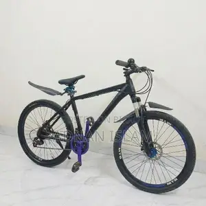 Phoenix Giar Cycle For Sell