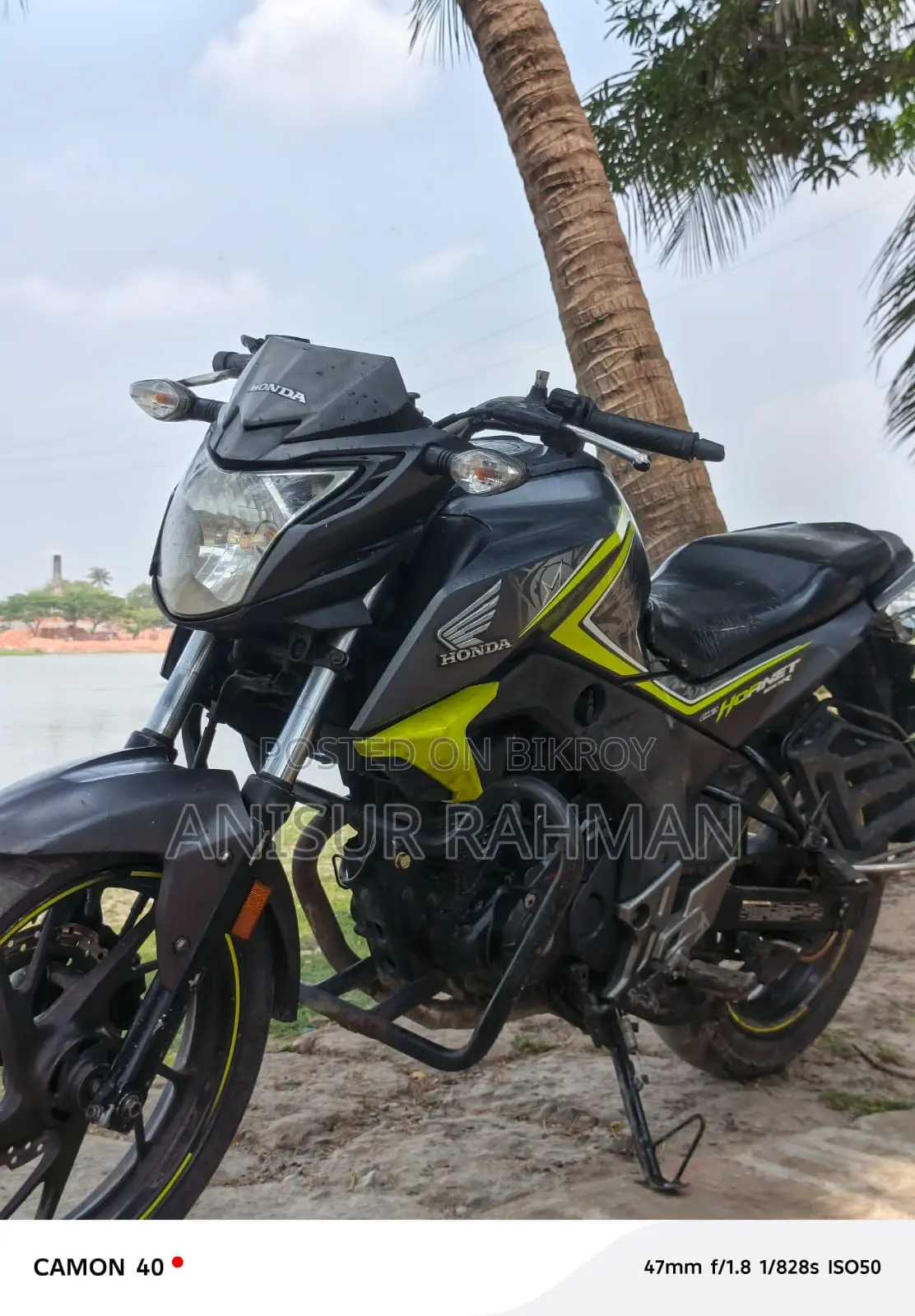 Honda Hornet 2019