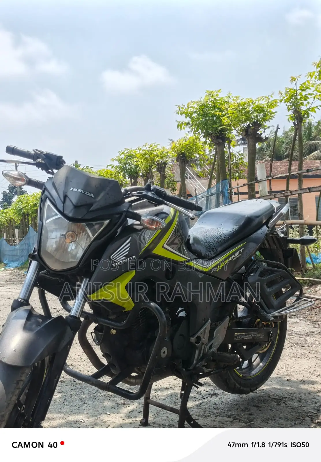 Honda Hornet 2019