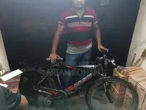 Duranta Bicycle for sale
