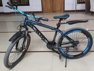 Avon Bicycle for Sale