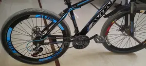 Avon Bicycle for Sale