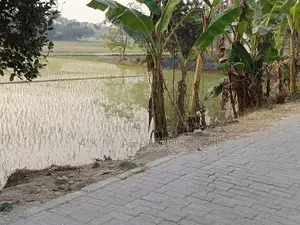 Land in a Beautiful Location