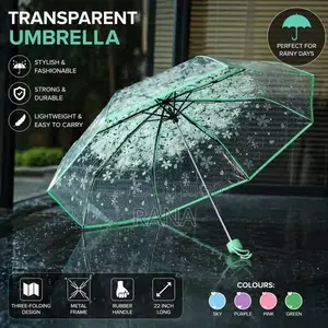 Transparent Umbrella