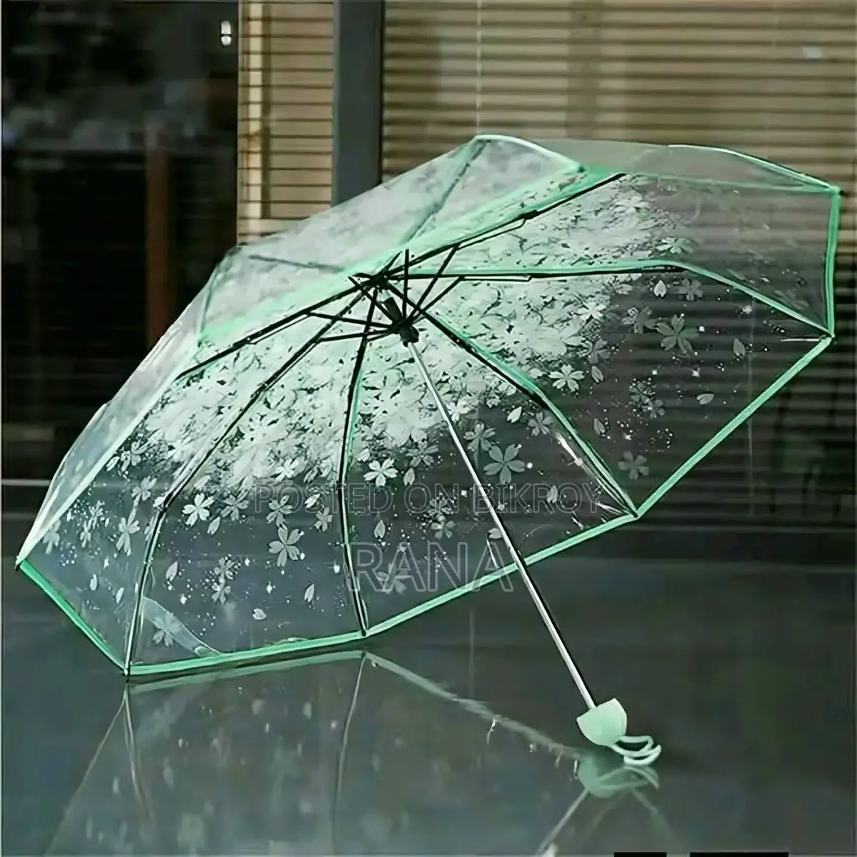 Transparent Umbrella