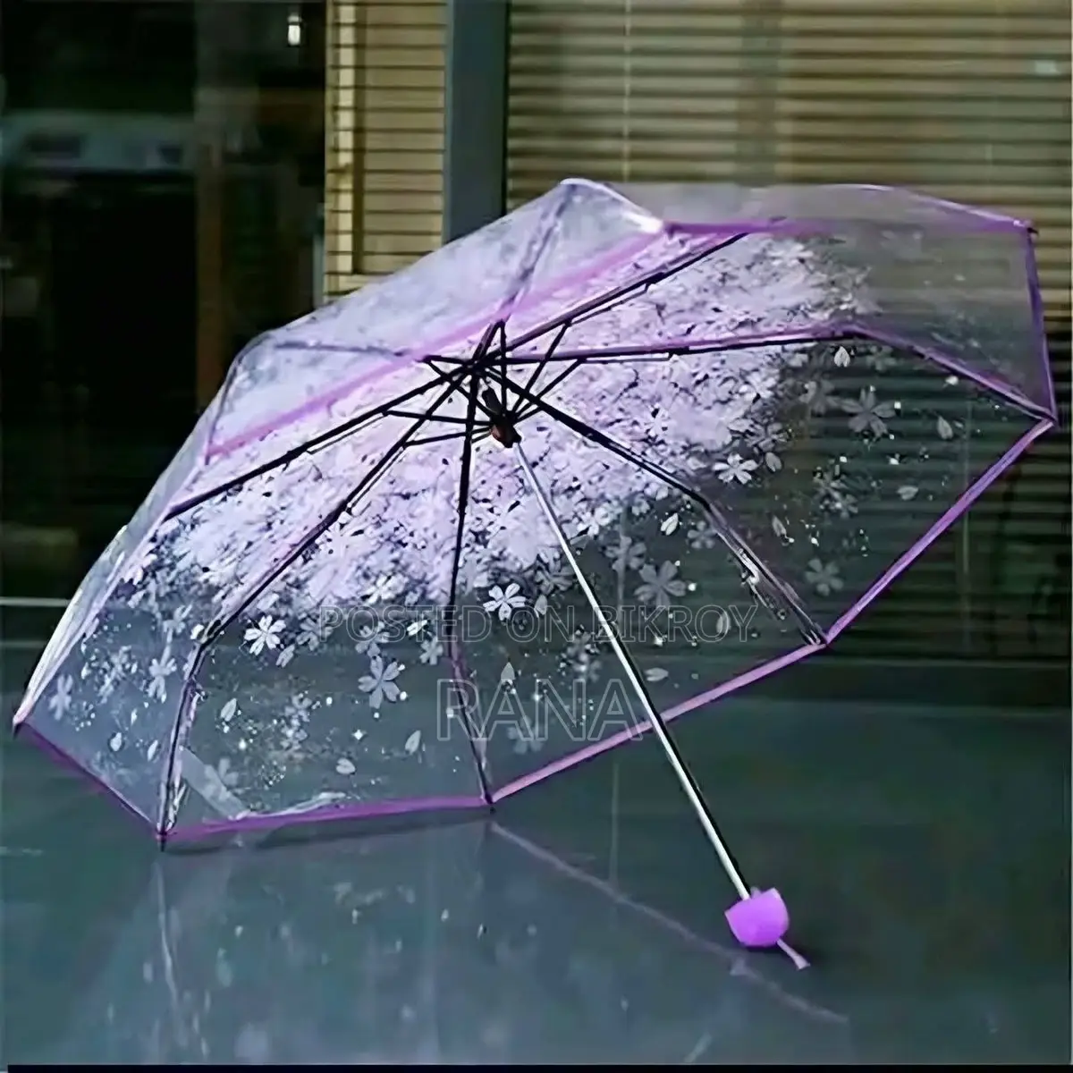 Transparent Umbrella