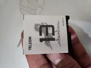 Telesin Battery for Gopro Hero 13 Black